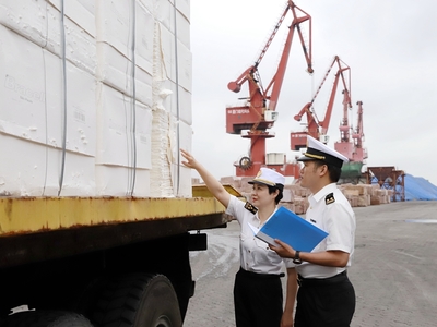 厦门海关东渡海关高效监管进口纸浆装卸，保障供应链畅通