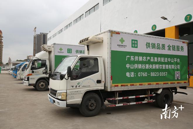 广东供销农产品直供配送中山服务中心开业，一站式打包服务助力农产品高效流通